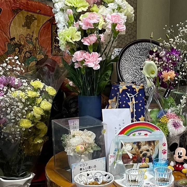 686a2078 32a4 45ce 957f 4a0bc1273cad 1713434722411