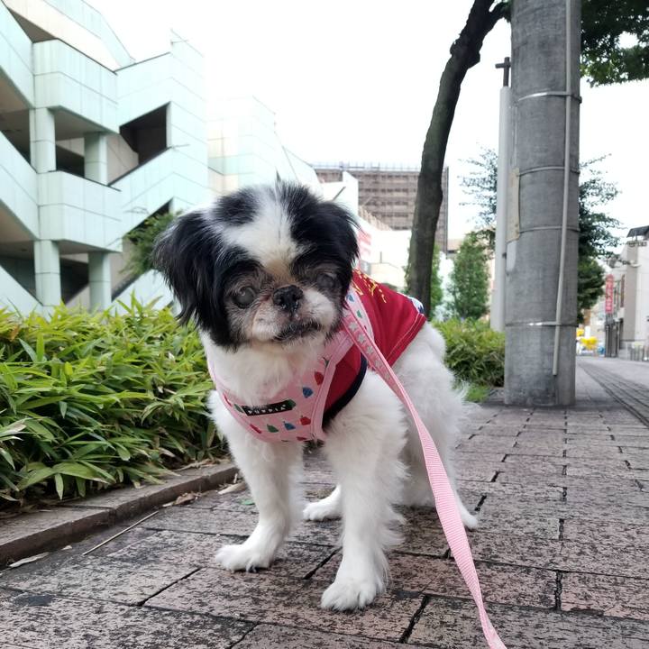 686aa31b cb18 4bbc bb1e 7cd45ff65ba1 1629810088895