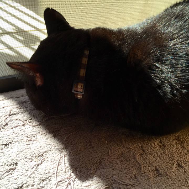 686abef5 1b32 473e aa6d 8a470a3f5c69 1540778167806