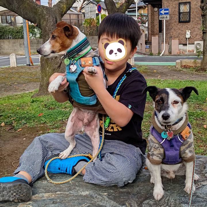 686ad317 2e96 4afd bdfb 939fdd30e76e 1700314769463