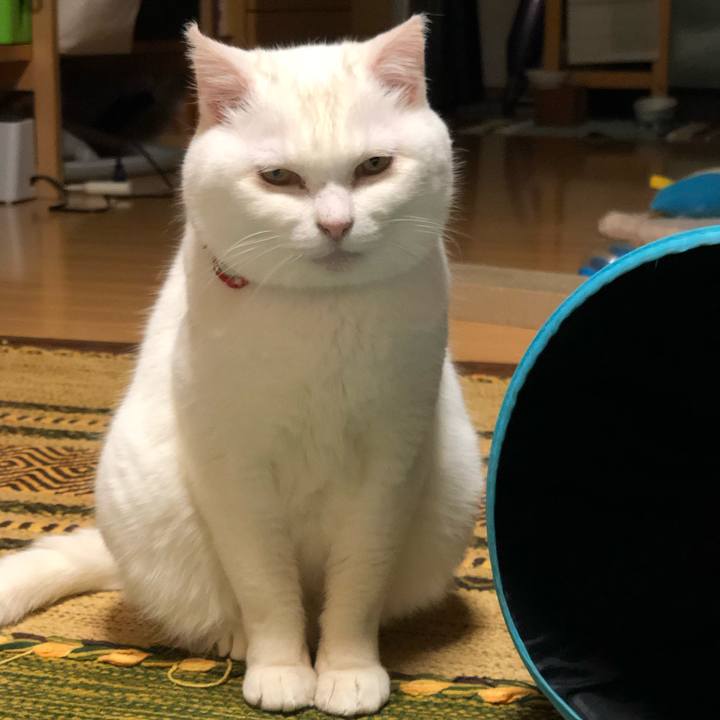 686aeb8e 5070 4ed2 9cc3 c778c6f86d41 1556536077887