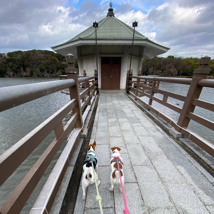 686b2178 29ac 4e68 9b38 249d515575f8 1767163140367