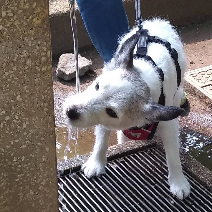 686b31d8 6eaf 48e0 ab8c e1da911248ee 1591319981891