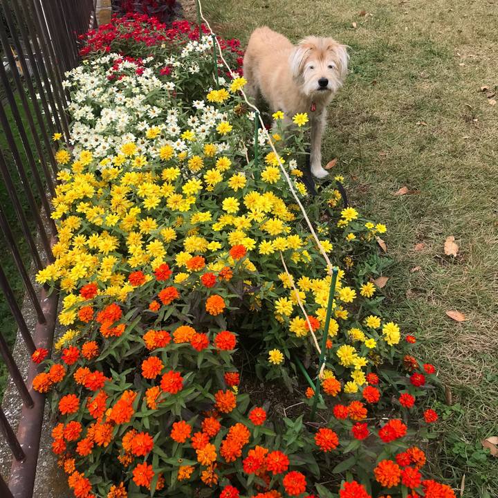 686b3a40 f281 4555 a955 18fb910023d0 1604675728756