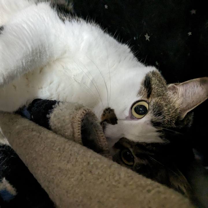 686b42fb f6f6 4c20 8ad4 564c20ff59cb 1694400854911