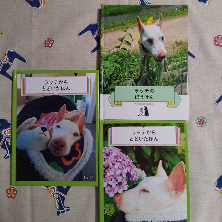 686b9e11 7207 43e5 bc5b b042a925b739 1625056477391