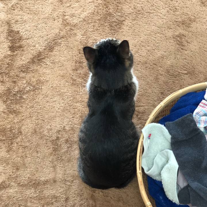 686be678 6b15 4b1b 9193 fe3fe640a13c 1525408058640