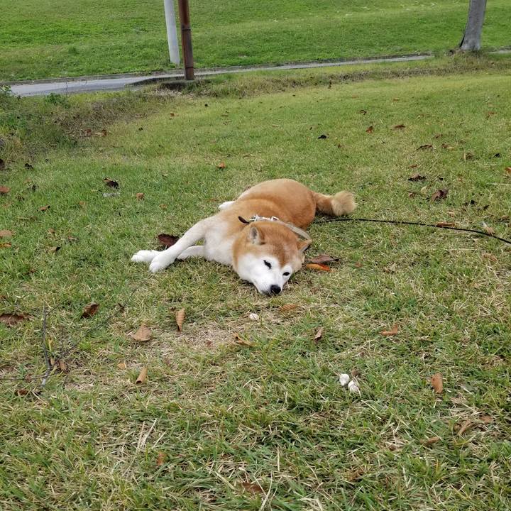 686c1930 c3db 4abd 98bf cd184bfc7751 1665639729723