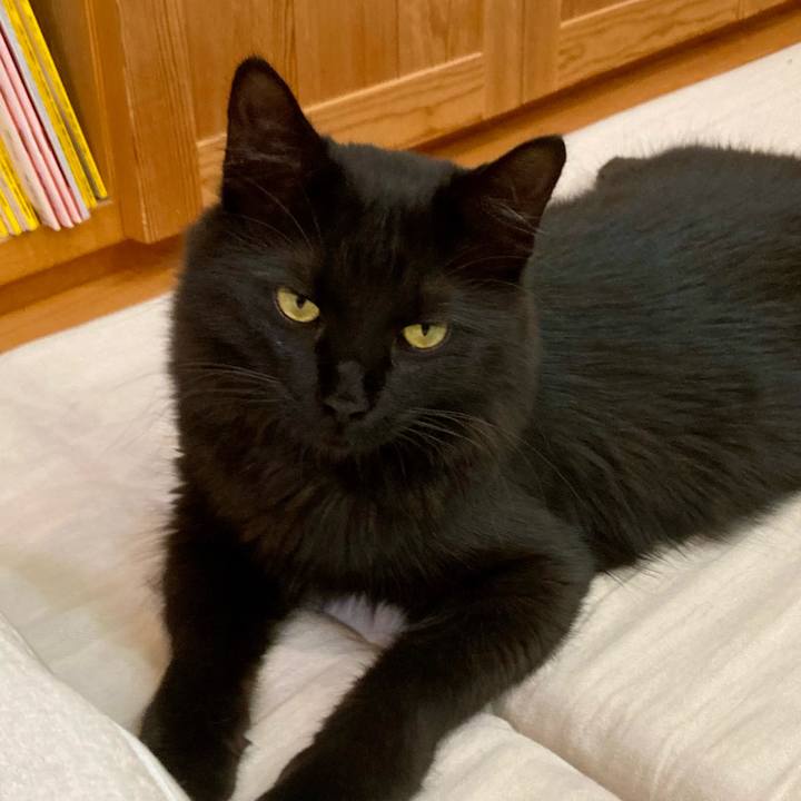 686c5d31 430d 4a44 aebe fc095bdee19f 1721712307259