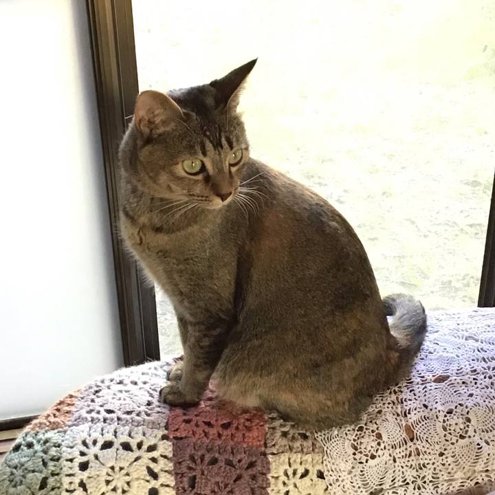 686c6ac3 7a6f 42bd 8862 68afc5bf71fe 1604471308938