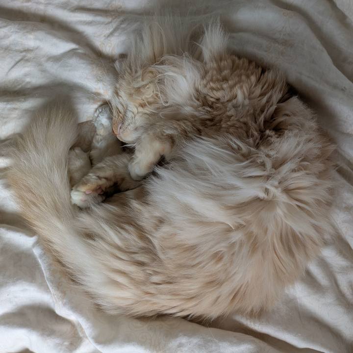 686c72a6 1af9 4634 9990 ae2702666ec1 1748046857226