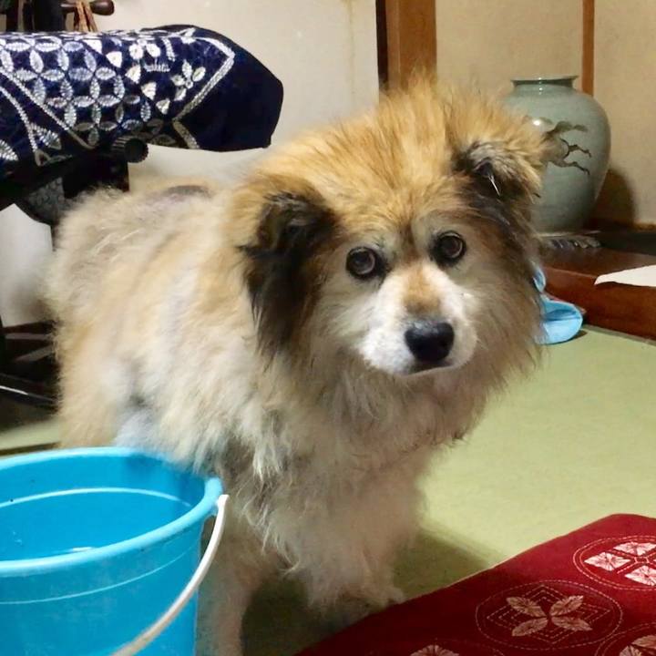 686ca27e d2dd 4ba1 b207 e485cd0f77fb 1551129734251