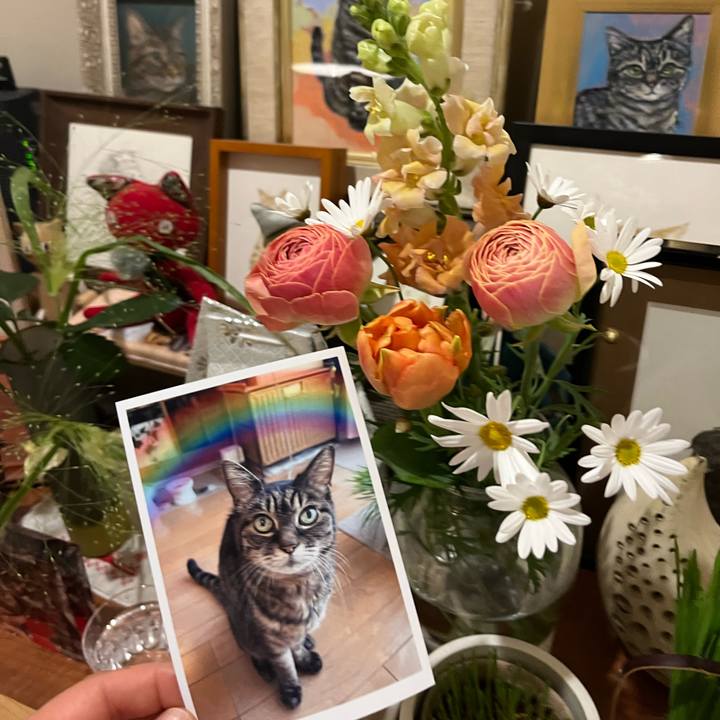 686ca29e 1ce9 4f0e a86c f70497fefec4 1775740033843