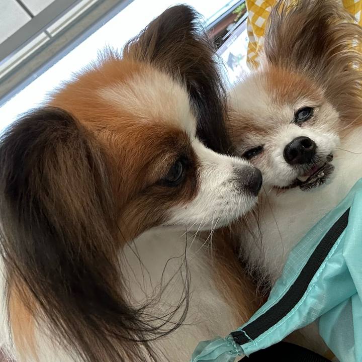 686ccdf0 aa9e 44d5 9079 c1189d726598 1754990324907