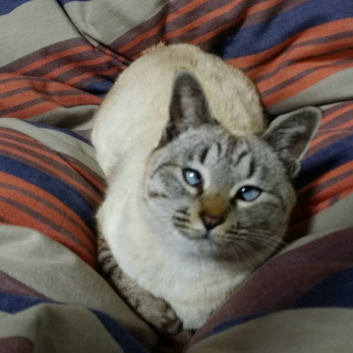 686cee77 1fa4 449f 8657 5ddcd5bb1bff 1520775697562