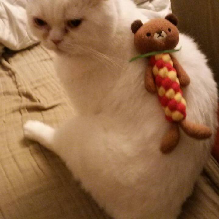 686d296e 7e86 4c9d 893a 26d9ca706752 1533461570759