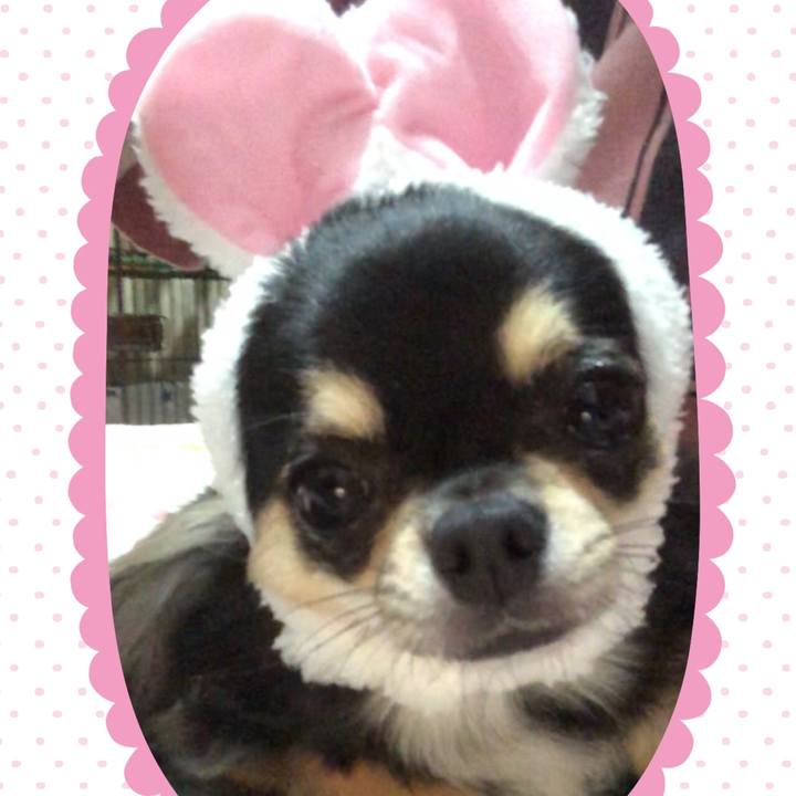 686d3197 8cd4 401b bb04 4a270e0ac545 1560780688195