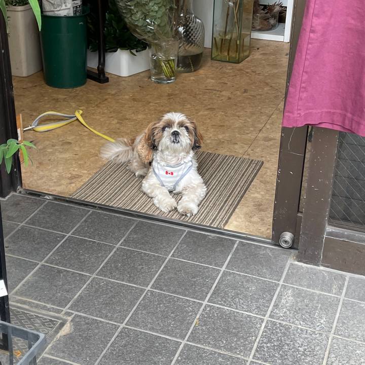 686d4bd3 bece 4532 a694 eeffd2a576d1 1632884690438