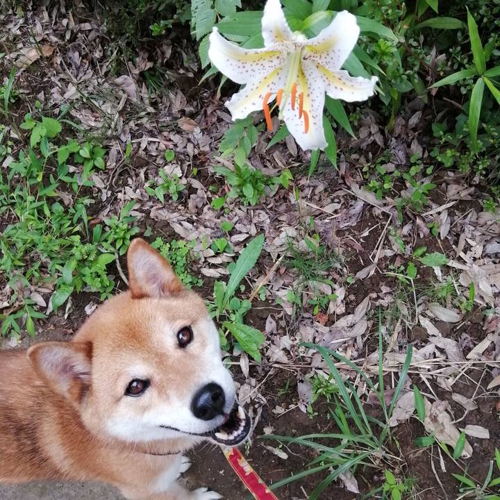 686d4e0a d562 4728 84d3 6b2dc2f1b363 1594886307849