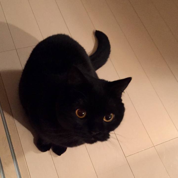 686d5ee7 7588 4d39 9876 09e128d3f4f9 1550495847871