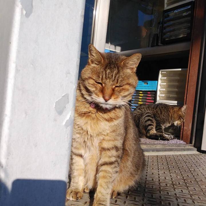 686d8cd8 8736 4461 a809 b5dc57dd790d 1607051434491