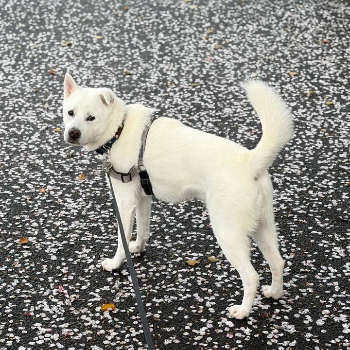 686de25e f667 4135 acc4 5c384eff853d 1775721379973