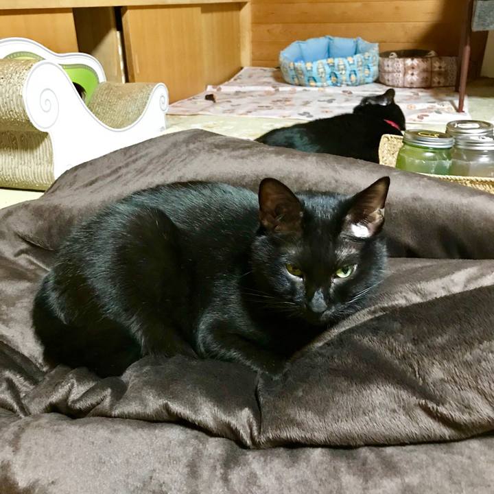 686df399 202e 4bb0 8ff4 fc893bc715e8 1542889892006