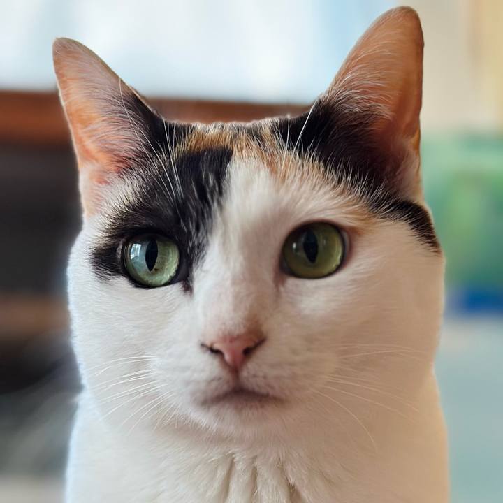 686e0e3f 9ae9 4664 8ba5 6de64f8d0ee2 1686624408547