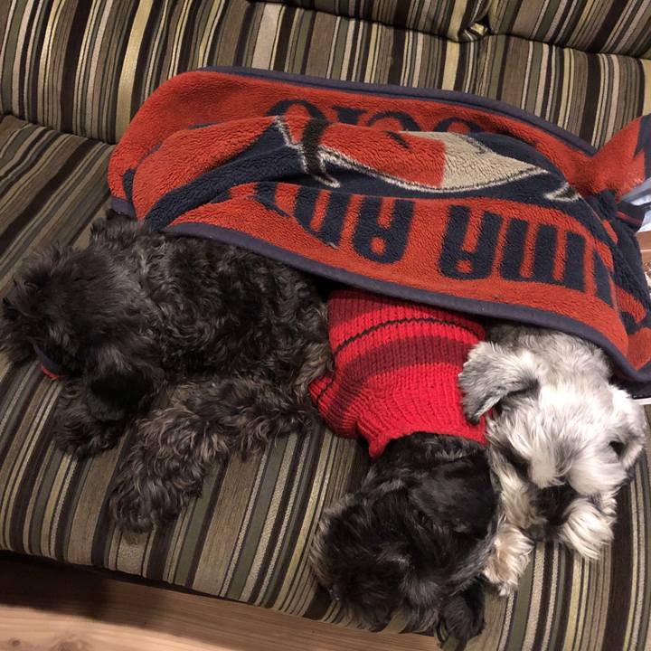 686e36fa 7fb0 4977 8be2 b3fc2c971148 1547042820245