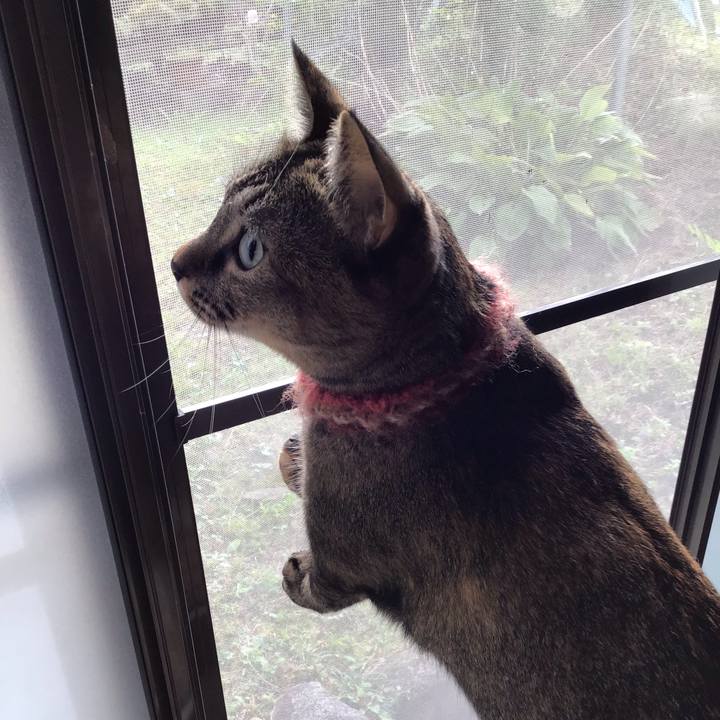 686e4dc9 01c8 4050 a93d a26869642f98 1634168854243