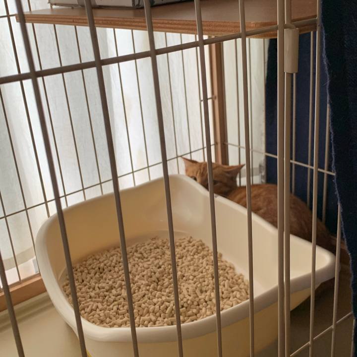 686e545e 5f8b 406d 9d7c 20e52ddac6eb 1689053872987