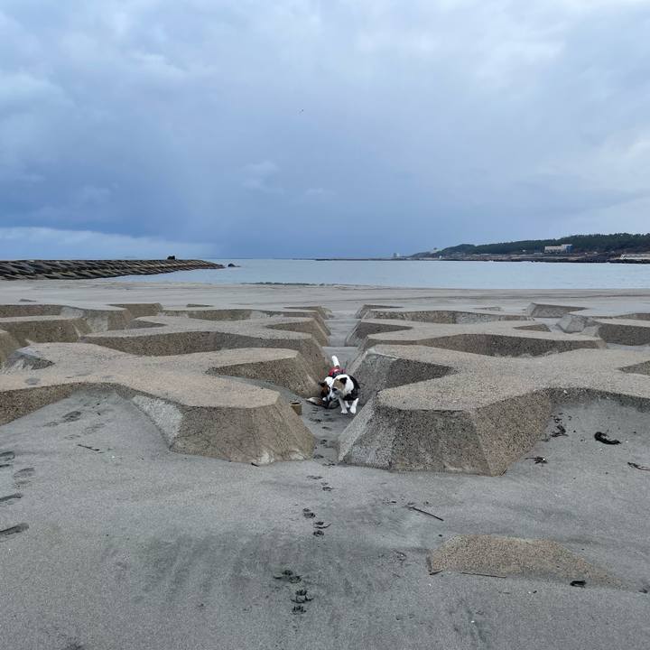 686e9cdc d5bc 4acd 9937 bcc4fbeb2acd 1773190505634