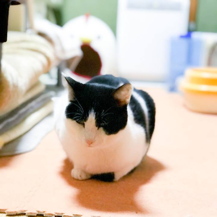 686eb615 e16c 485e b9e9 d2869608952c 1515249408033