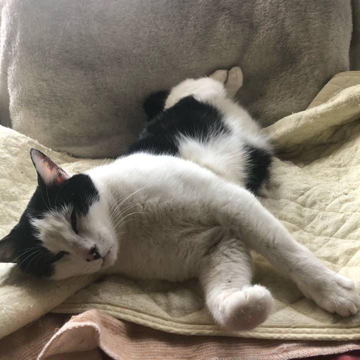 686f0244 f77d 487d 9fbf a678b3da478f 1614824652730