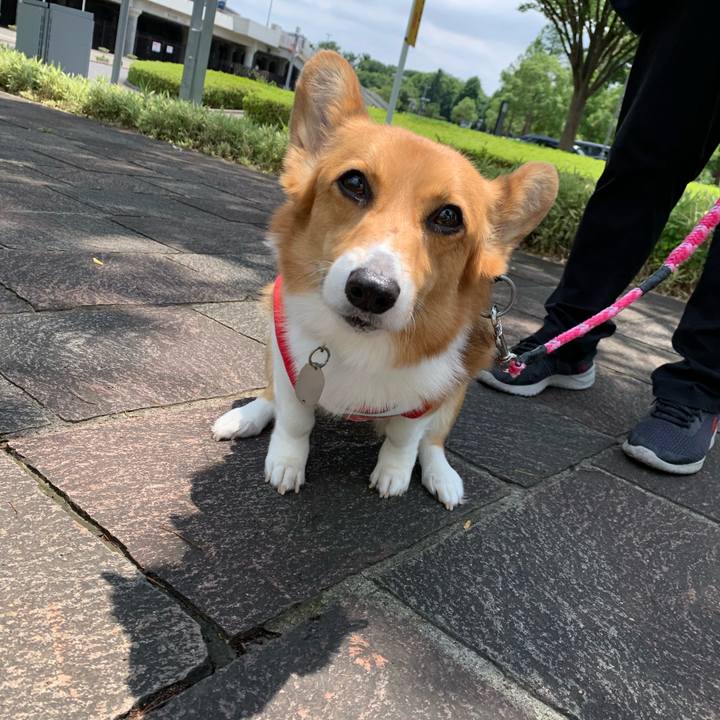 686f53ef a426 4b1c 9928 5cff809a7c6c 1592710949990