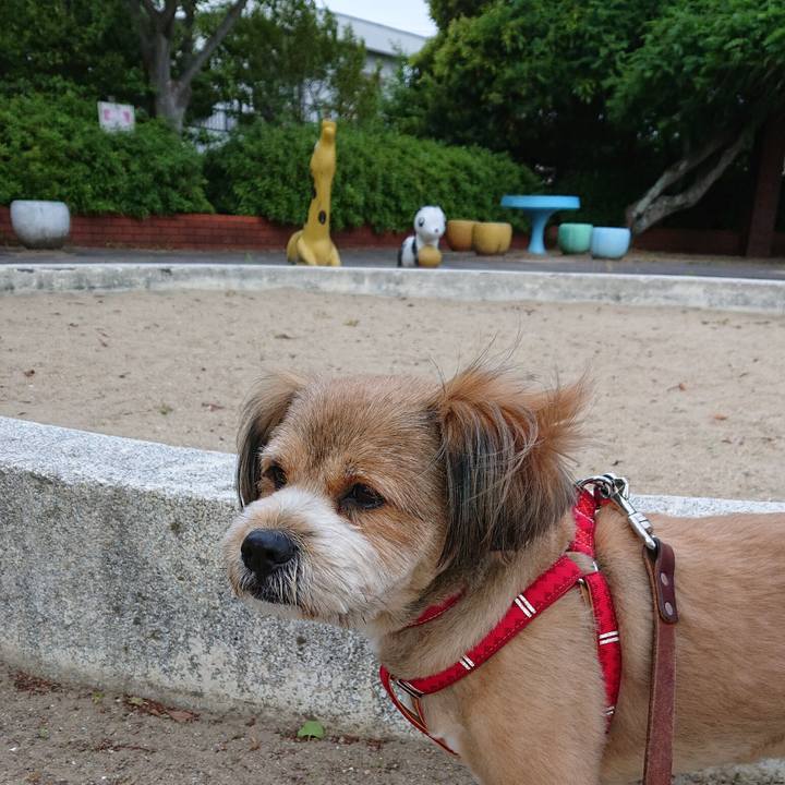 686f5a2a ed3f 4a6d 9aa0 5e535148cb05 1558259690197