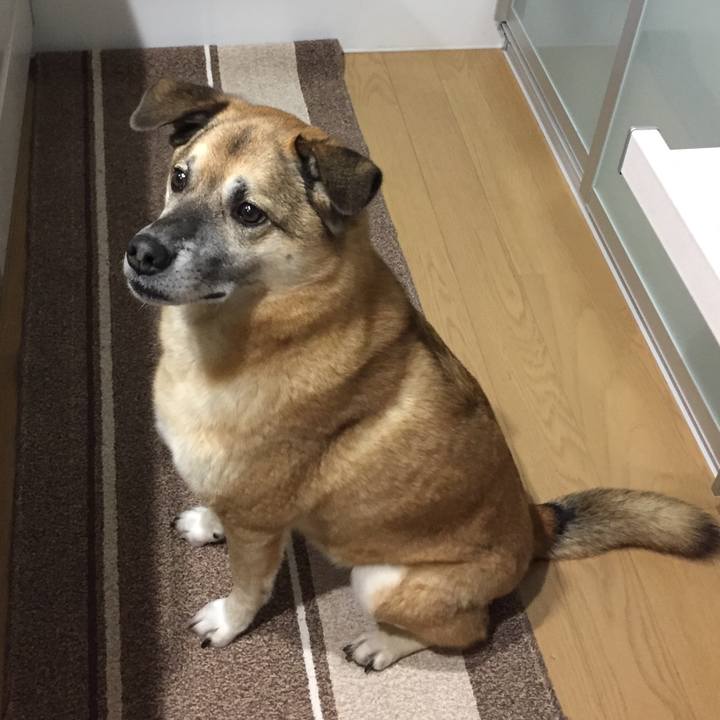 686f62ec 7a1a 4e9c a05c 94d35b025b36 1518169660739