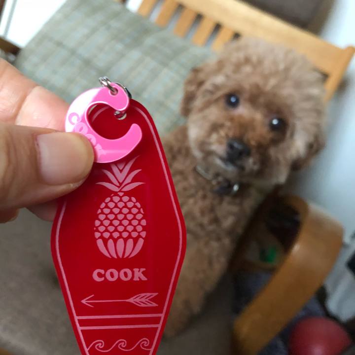 686f7544 56a7 449a 82e5 0b3ffd5e0ecb 1549427963860