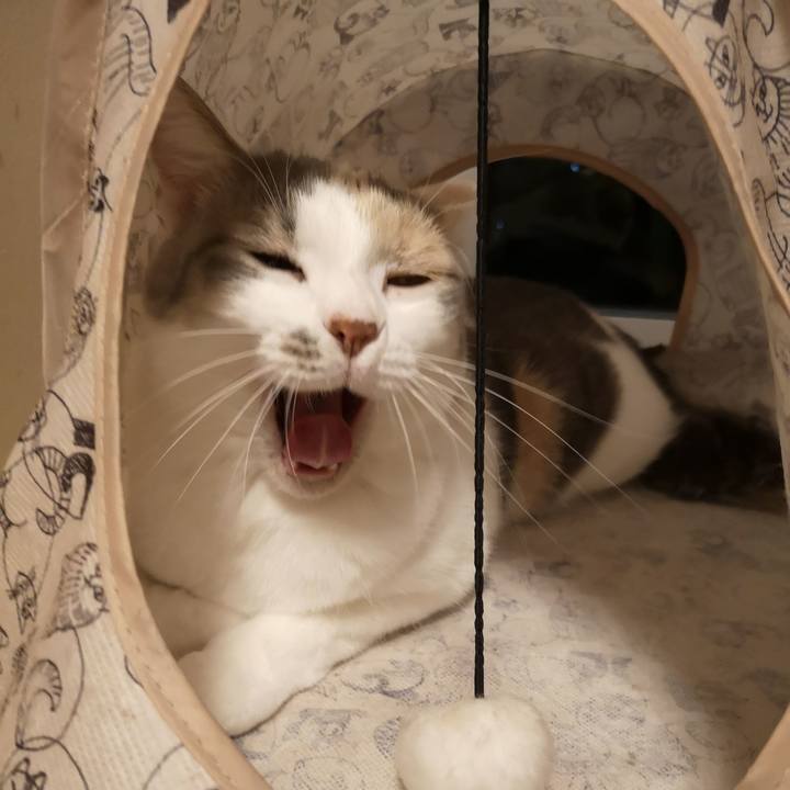 686f8b9b 58c2 41b3 a53f 601e4722b674 1571843350986