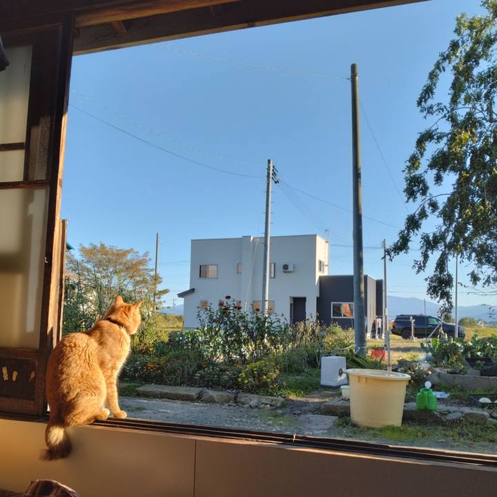 686fdf09 48b5 4bbe 8764 0a8c733cf69d 1697274043457