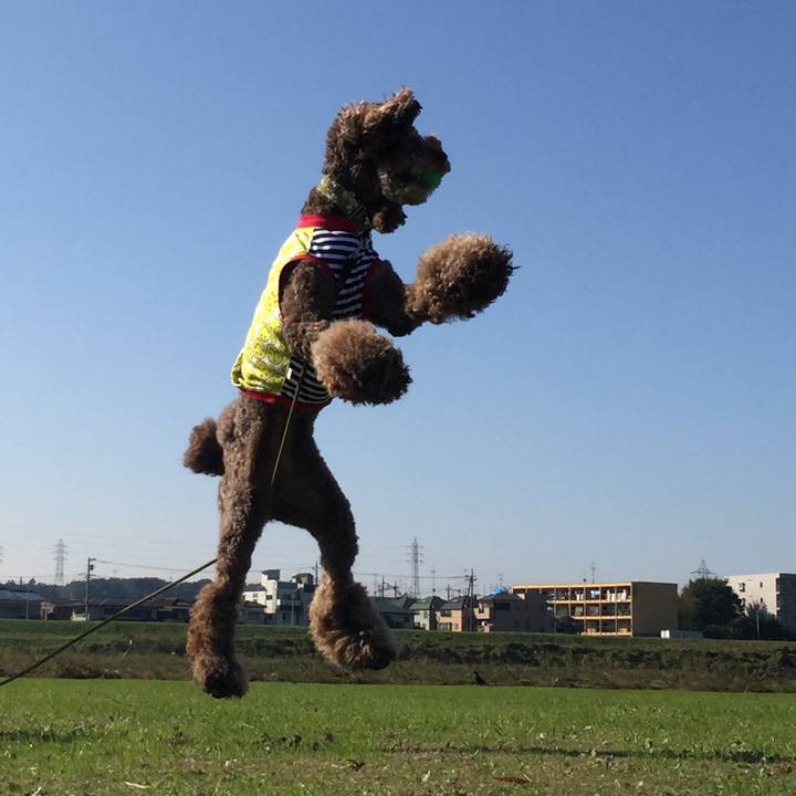 686ff0c5 a5ef 4ba3 a9ce 65ada1228d7a 1509014231895