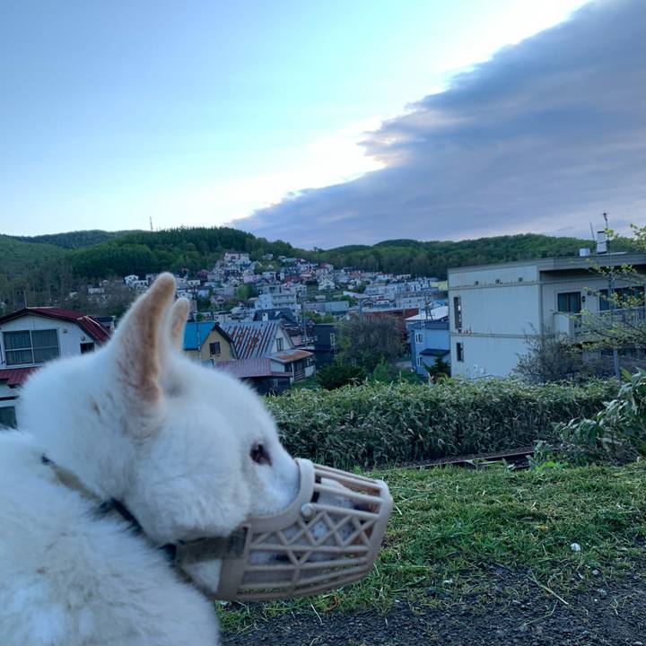 686ffeeb a65d 423f 8b37 d444a01279aa 1652560111877