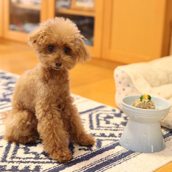 687008b8 ce46 4def 9888 e79424dcb42d 1565100692024