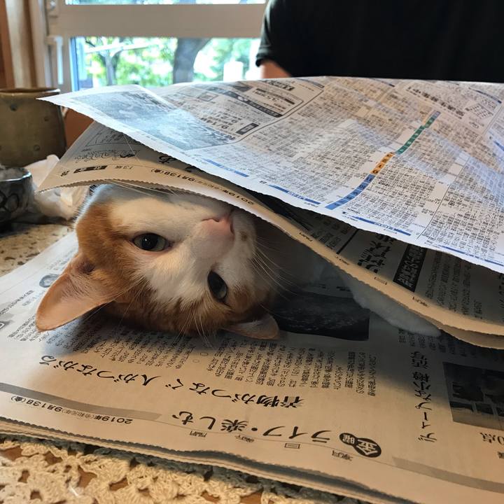 687028e7 9edb 4df1 823f afeb14c89827 1568323901373