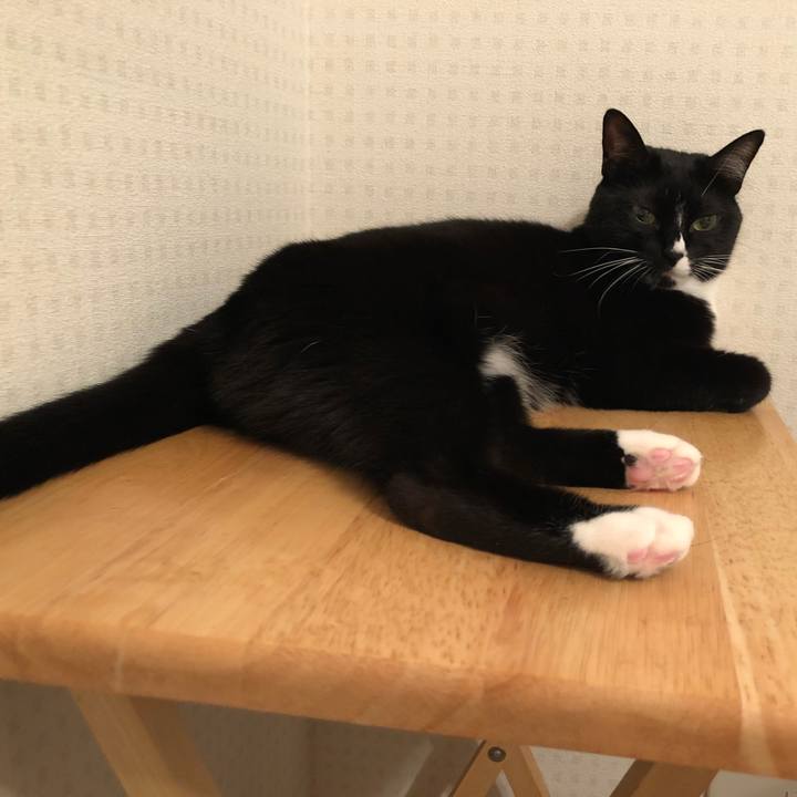 687064e1 b8ff 4d18 9bae 4f6a10b24ffb 1536269329955