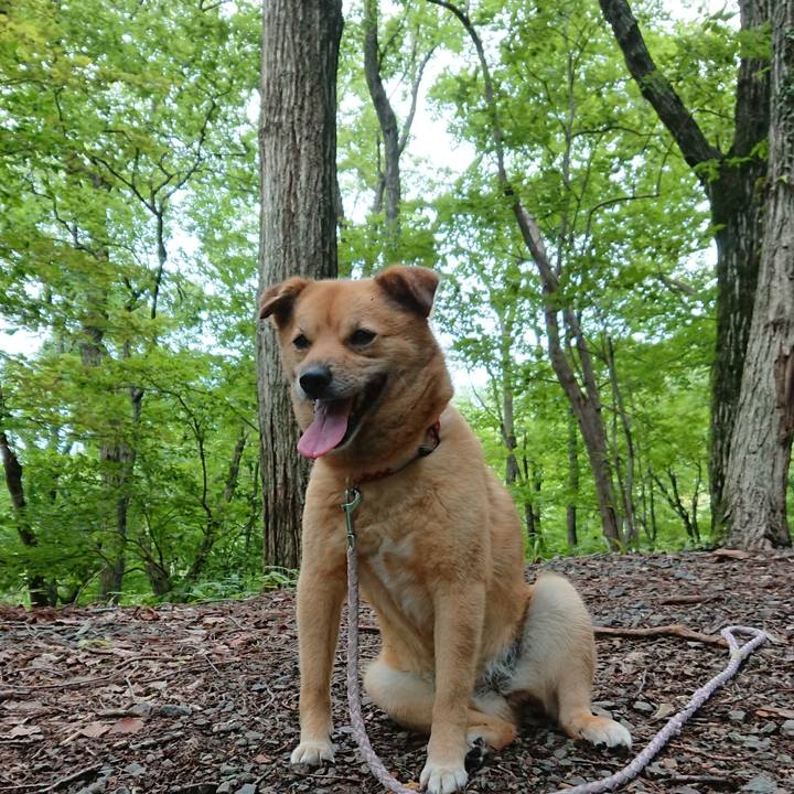 6870cb07 2b42 4be8 a529 8d123ed64f1c 1564402522679