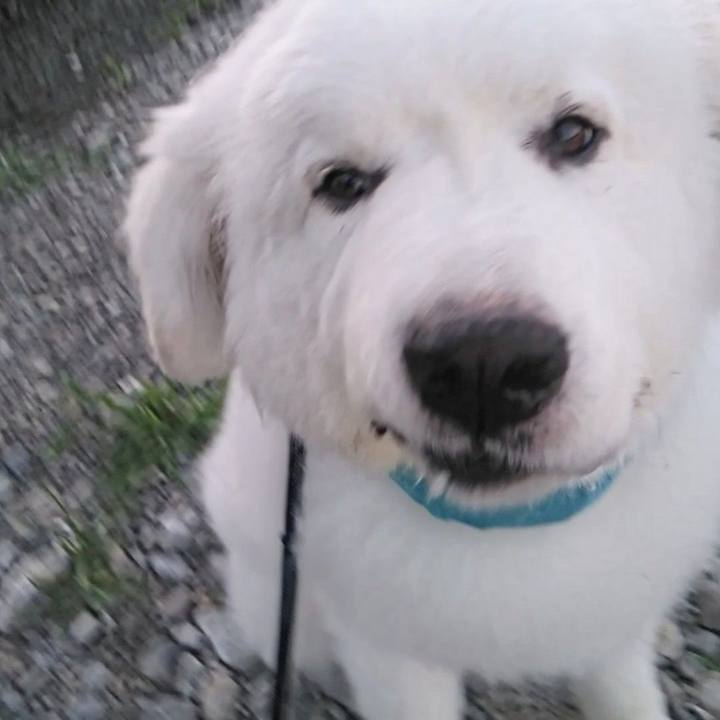 6870ec20 95f1 4b25 9b99 847f888df895 1690667096611