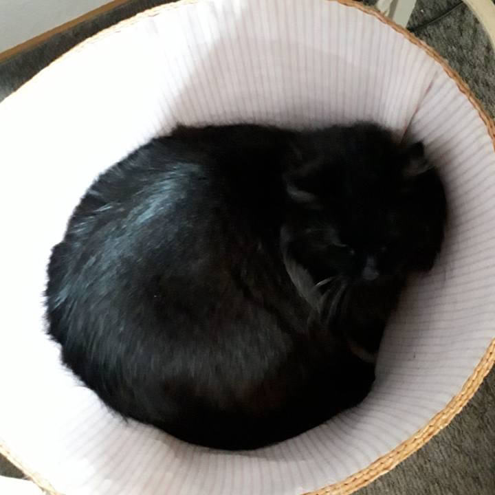 68710666 e328 4f42 80f8 bfe5c9365d30 1534768173706