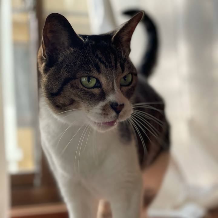 68710841 abfe 428e 80e4 c410b59e1b45 1606613142950