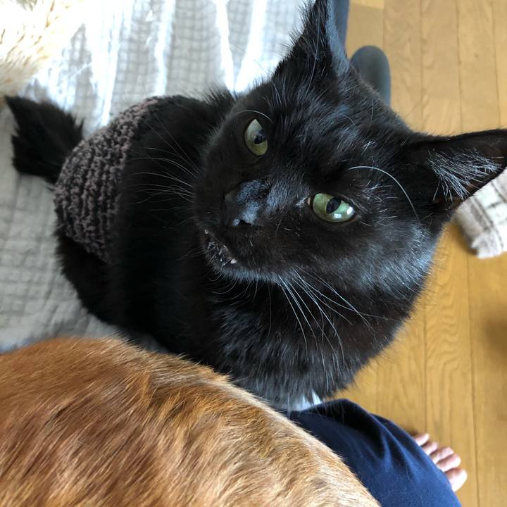 68711313 11b8 40e9 9e2a 7cffc9947565 1637373928951